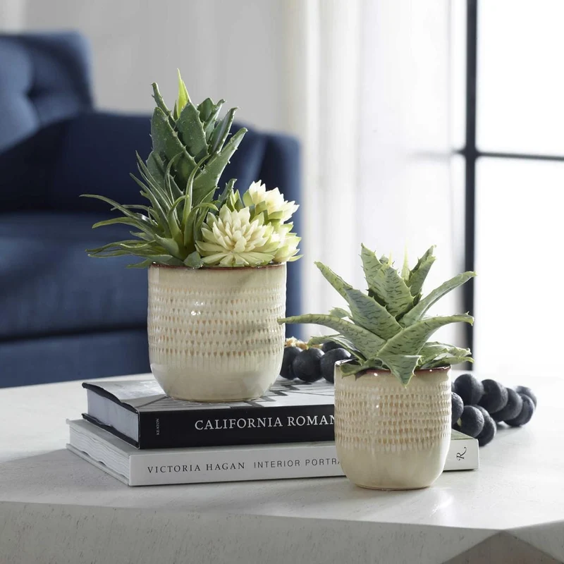 Seaside Succulents | Set of 2
