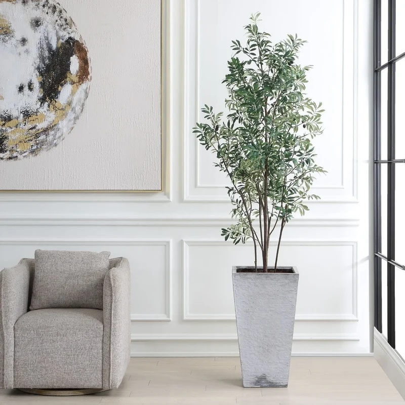 Sonora Olive Tree In Planter
