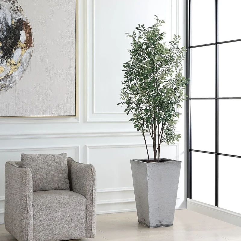 Sonora Olive Tree In Planter
