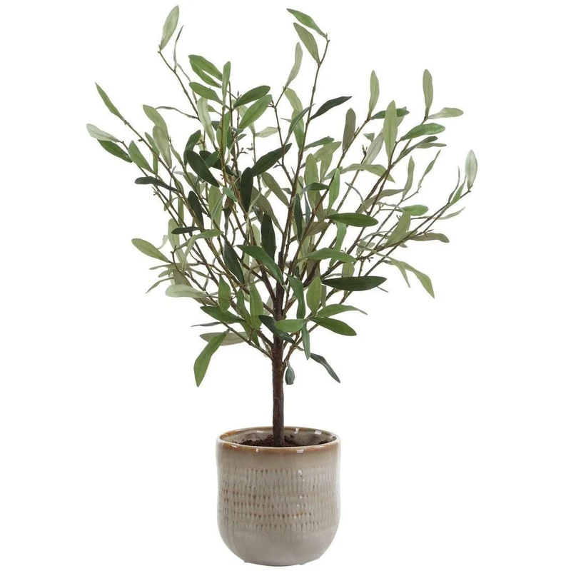 Solea Olive Accent and Textured Vase