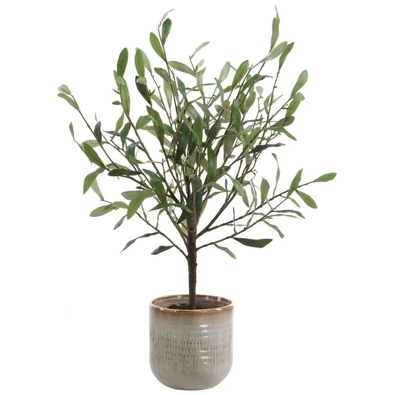 Solea Olive Accent and Textured Vase
