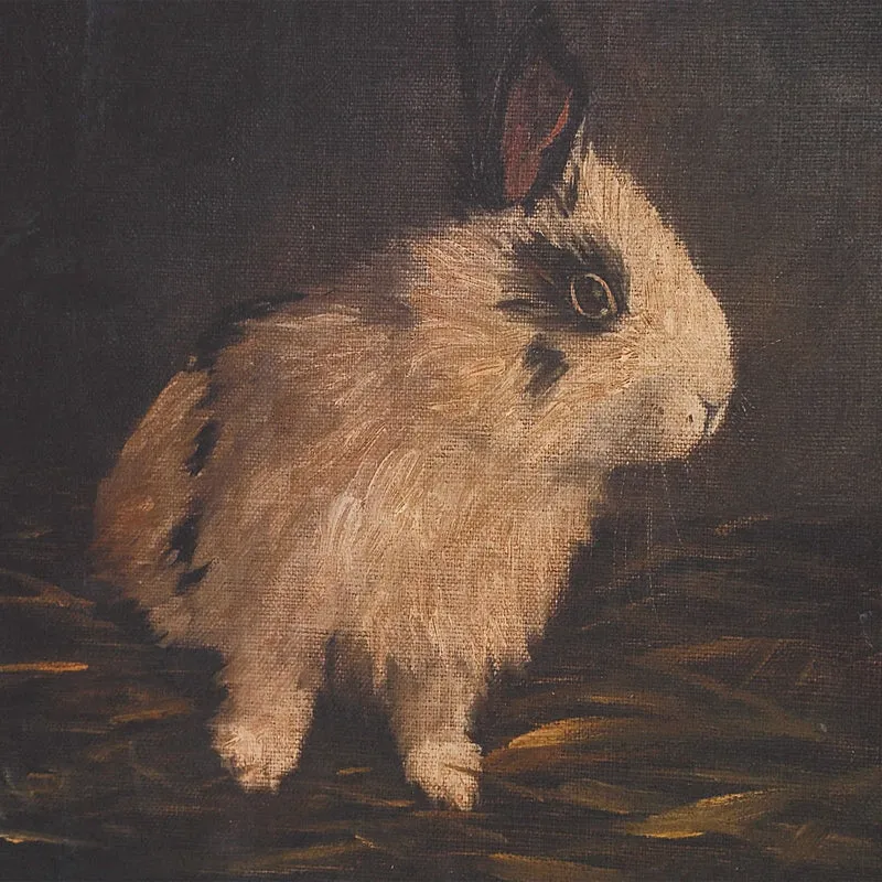 Resting Bunny Framed Prints Set of 9