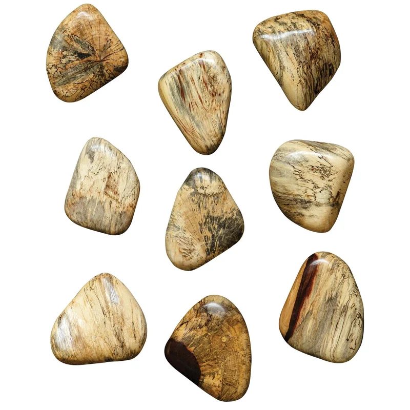 Pebbles Blonde Wood Wall Décor - Set of 9