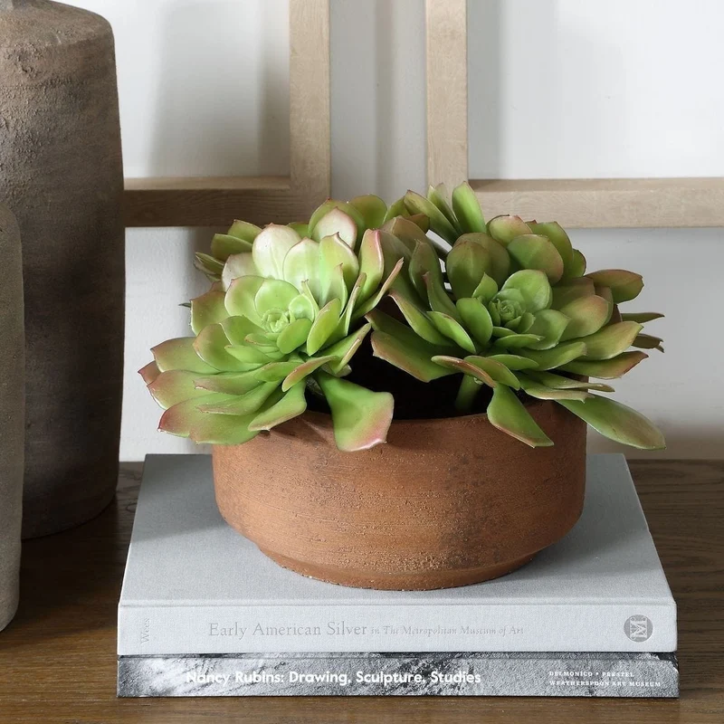 Sable Succulent Accent In Pot
