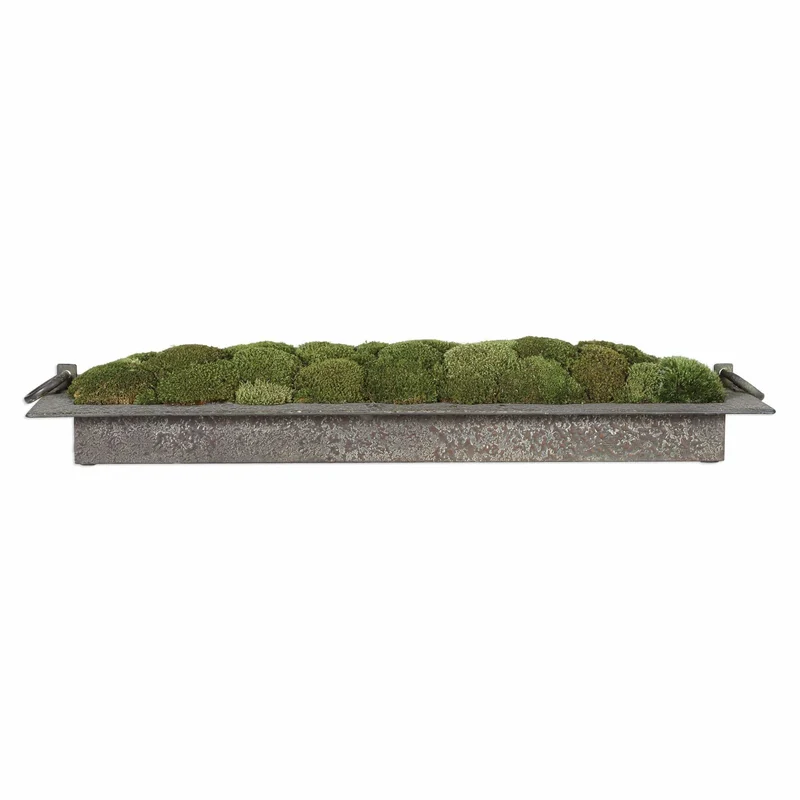 Heath Preserved Moss Tray