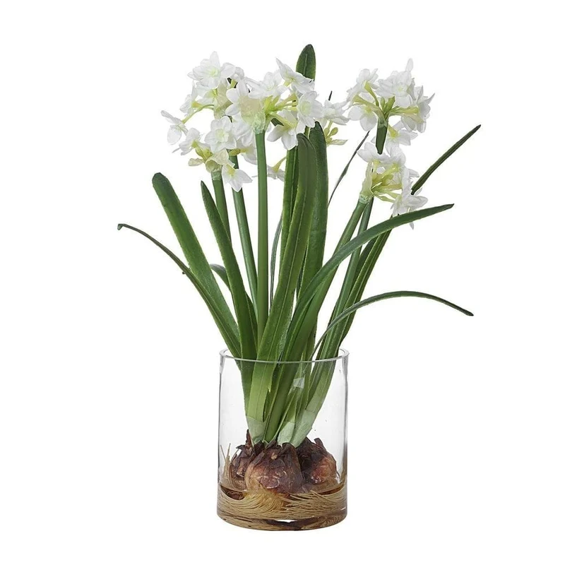 Lacey Daffodil Accent