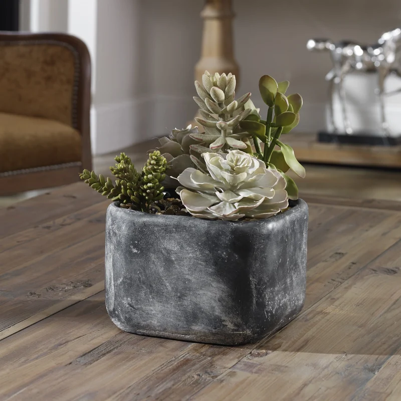 Alverio Desert Garden Succulents