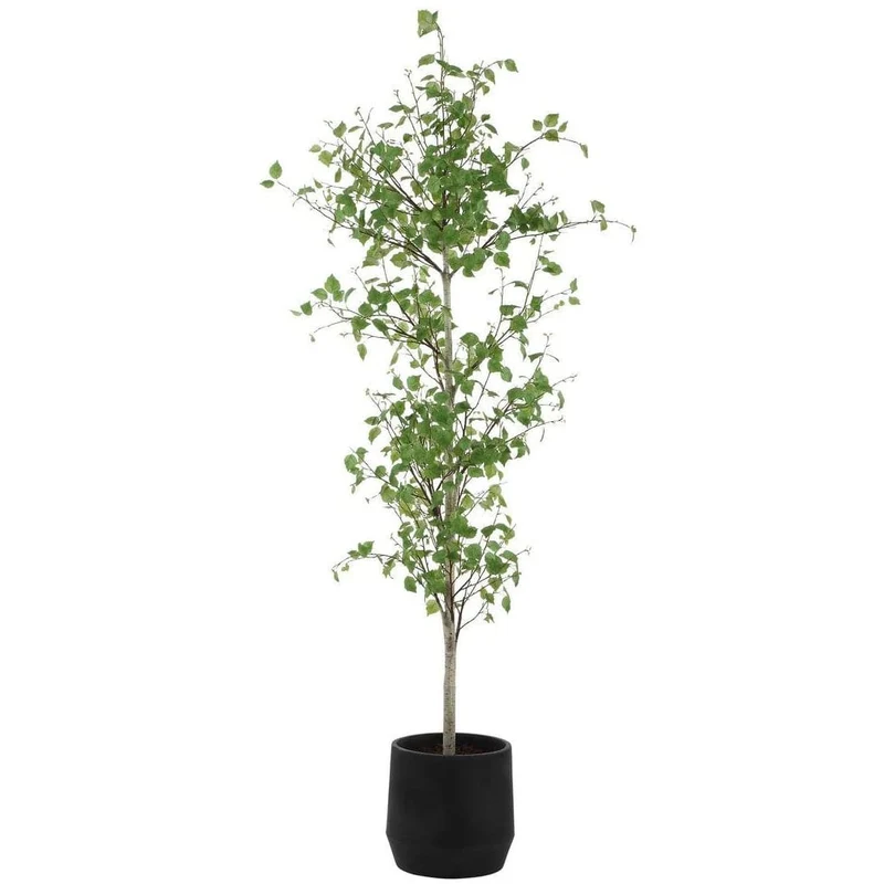 Boreal Potted Birch Tree