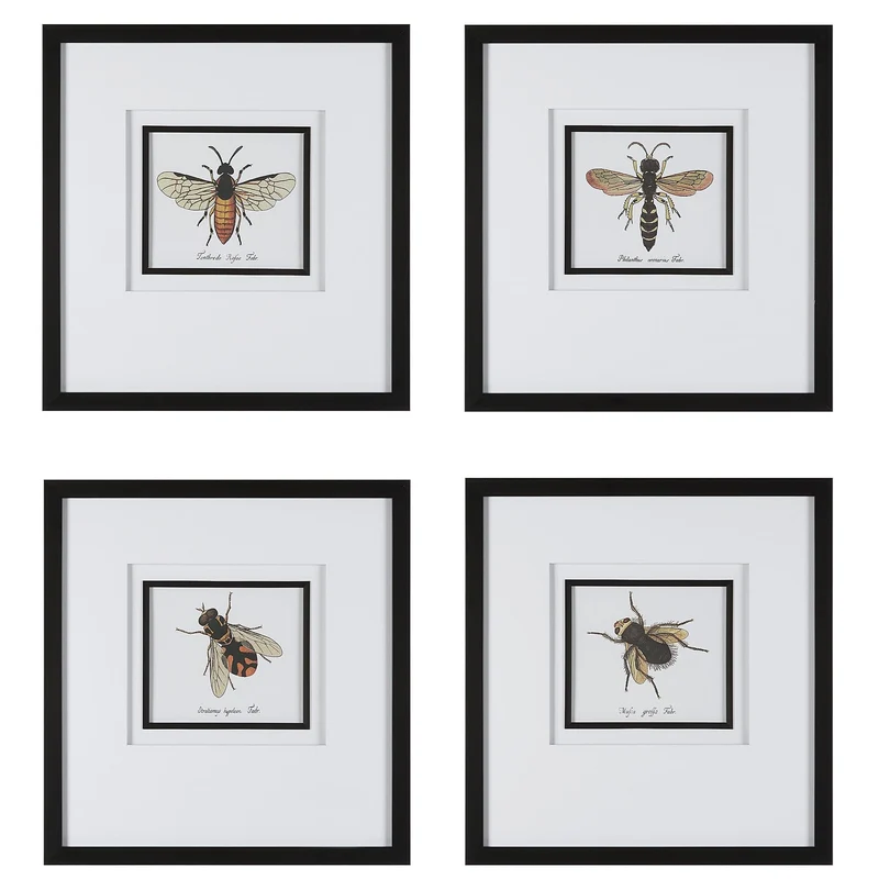 Anthophila Framed Prints, S/4