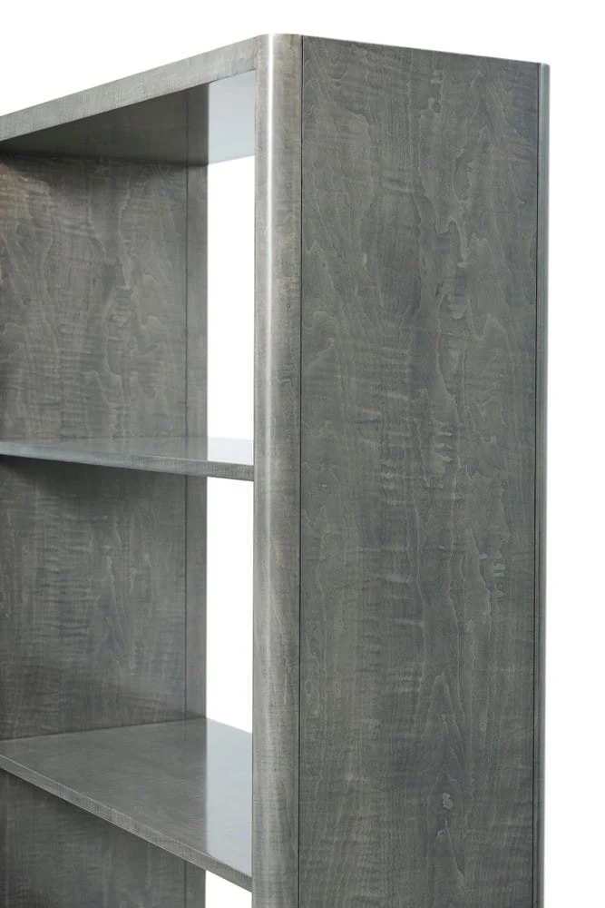 Hudson Bookcase Light
