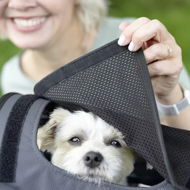 KLICKfix Doggy Sunshade - Protección solar (schwarz)