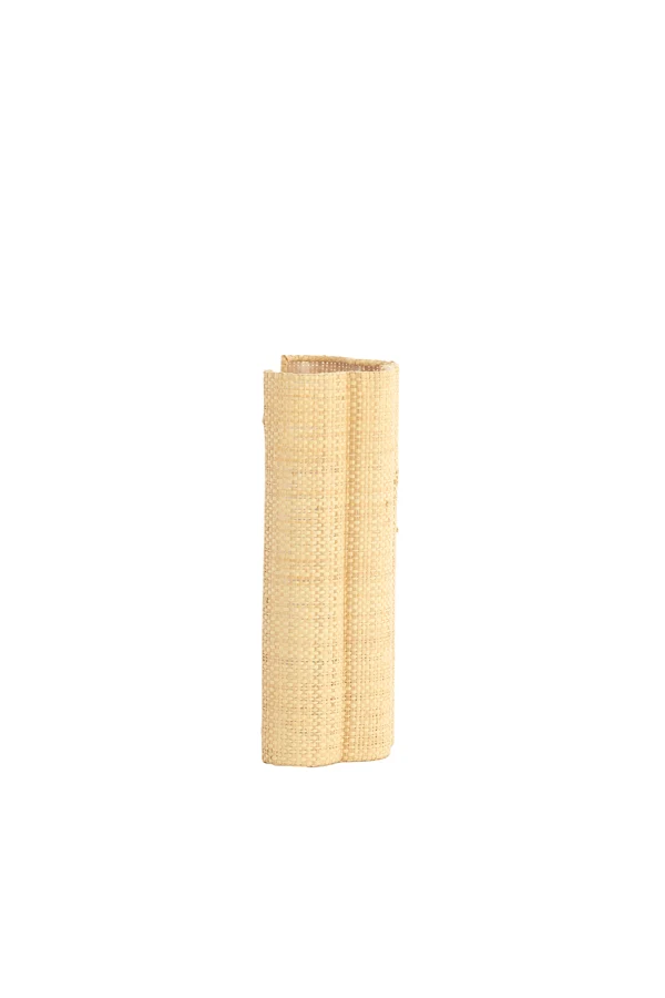 Wall lamp 15x10x30,5 cm VERDANTIA raffia natural