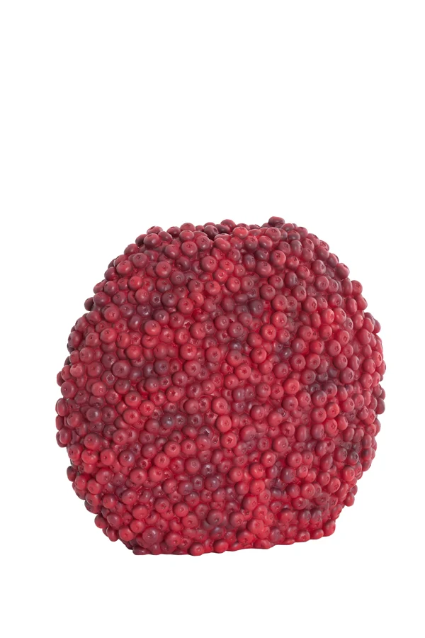 Vase deco 44x19x37 cm BERRIES burgundy