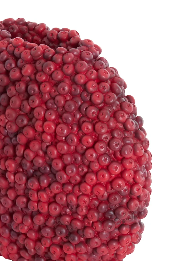 Vase deco 44x19x37 cm BERRIES burgundy