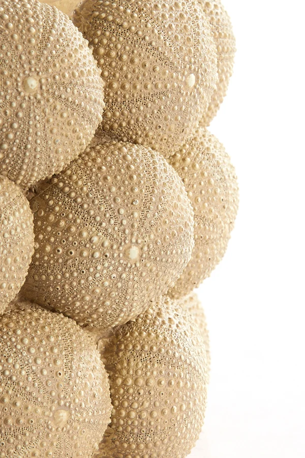 Vase deco 25x40 cm SEA URCHIN sand