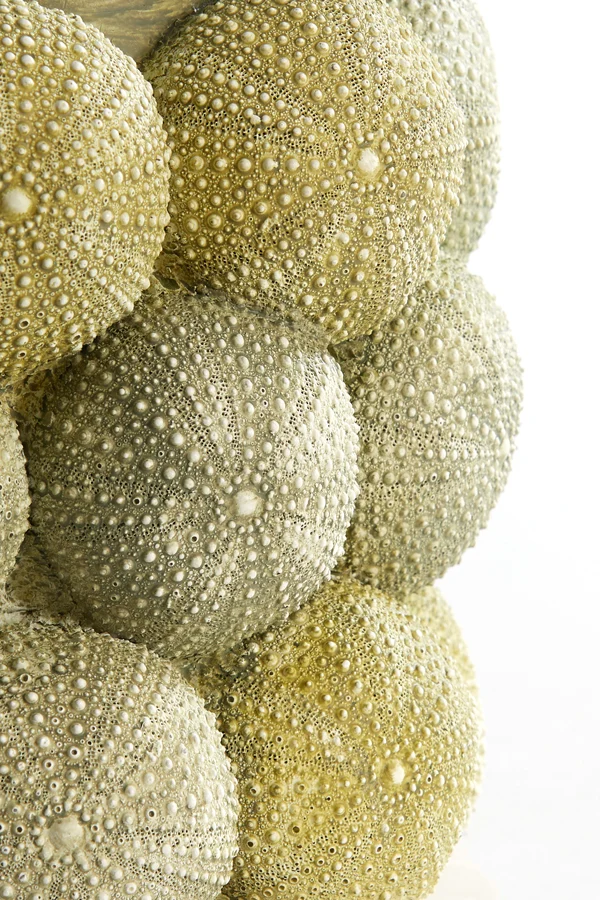 Vase deco 25x40 cm SEA URCHIN green+dark green