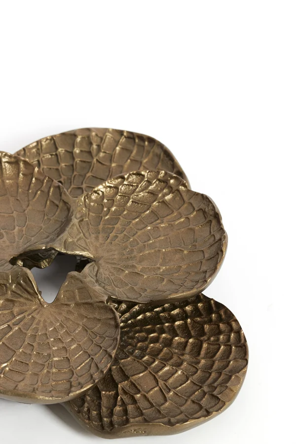 Wall ornament 39x38x6 cm SOLASSI gold