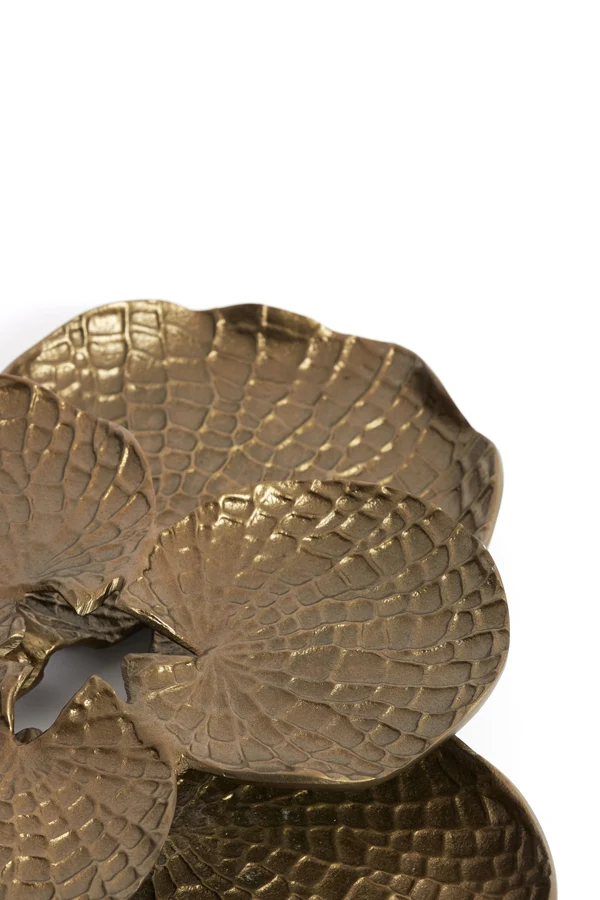 Wall ornament 30x29x6 cm SOLASSI gold