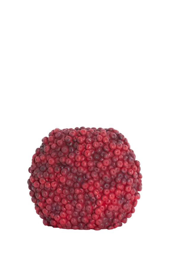 Vase deco 32x18x27,5 cm BERRIES burgundy