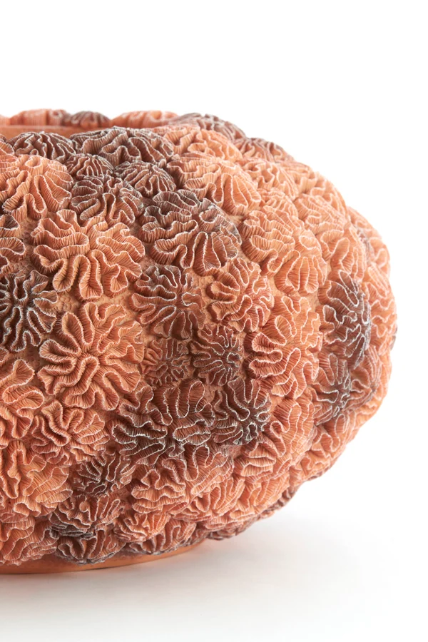 Vase deco 47,5x25,5 cm CORAL peach-light brown