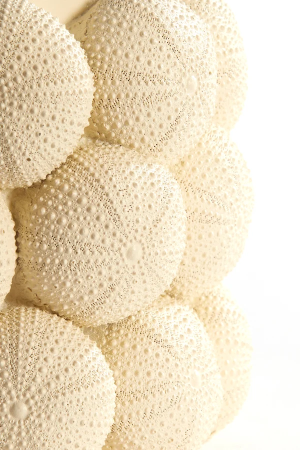 Vase deco 20,5x18 cm SEA URCHIN cream