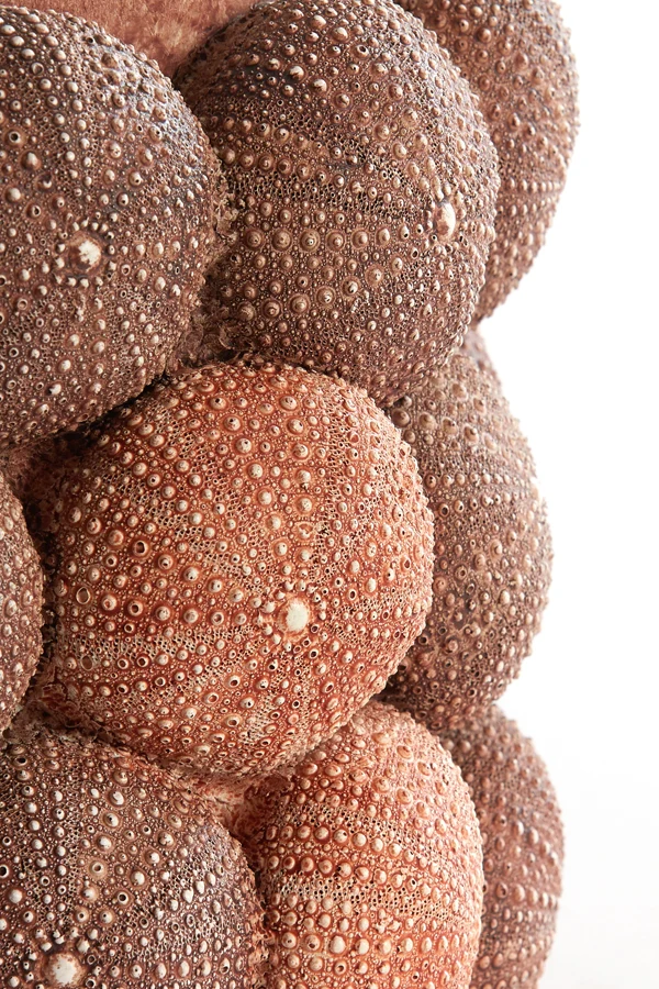 Vase deco 19x32,5 cm SEA URCHIN coral red+burgundy