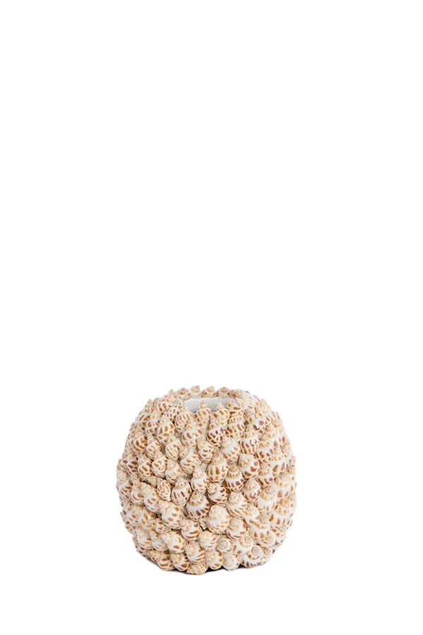 Vase deco 13x12 cm SHELL cream+brown