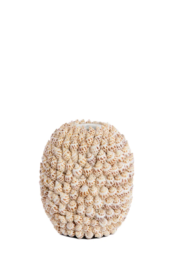 Vase deco 15,5x17,5 cm SHELL cream+brown