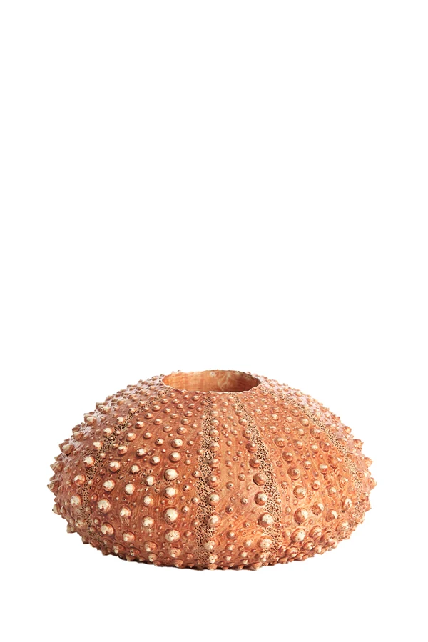 Tealight holder 15x8 cm SEA URCHIN red