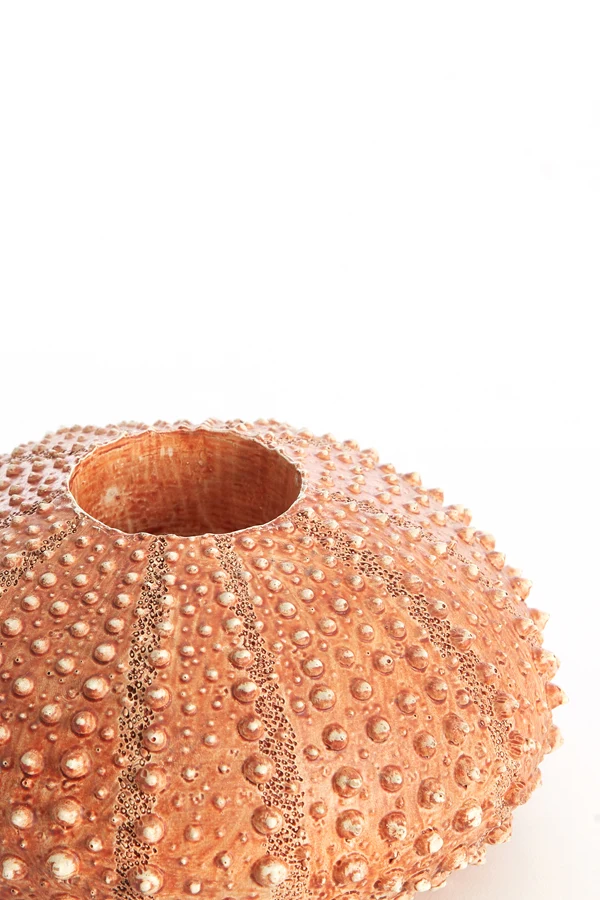 Tealight holder 15x8 cm SEA URCHIN red