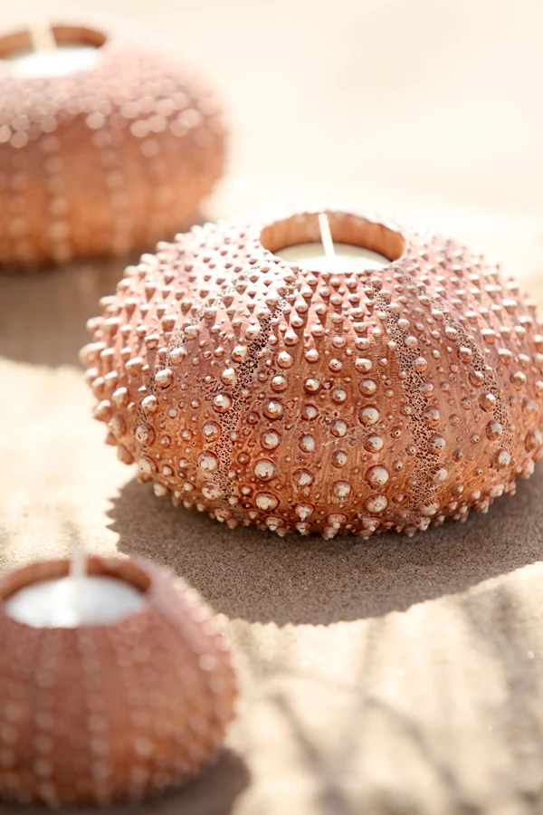 Tealight holder 15x8 cm SEA URCHIN red