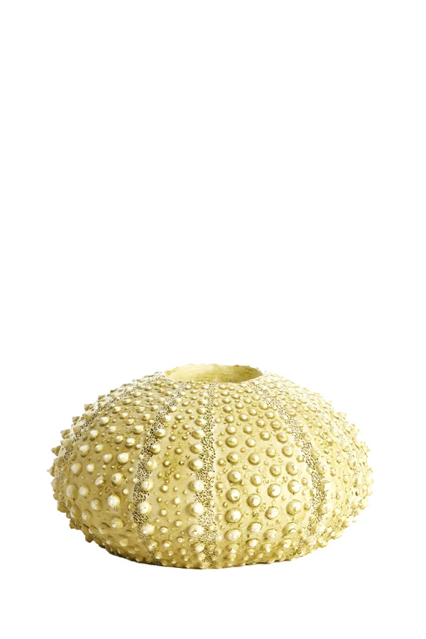 Tealight holder 15x8 cm SEA URCHIN green