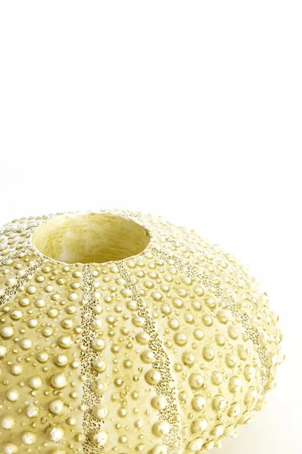 Tealight holder 15x8 cm SEA URCHIN green
