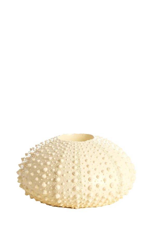 Tealight holder 15x8 cm SEA URCHIN cream