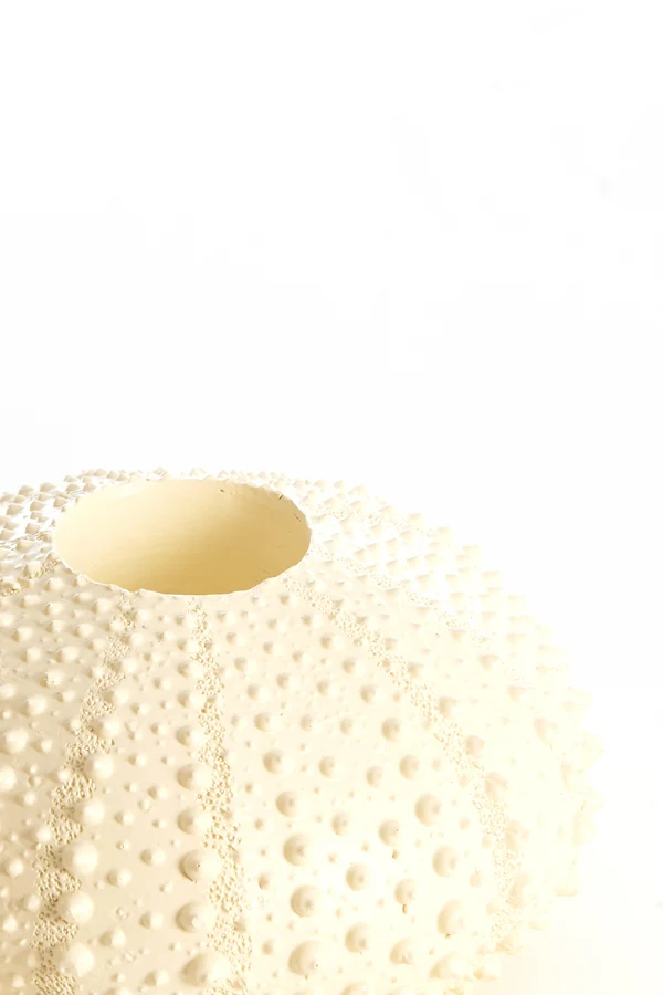 Tealight holder 15x8 cm SEA URCHIN cream