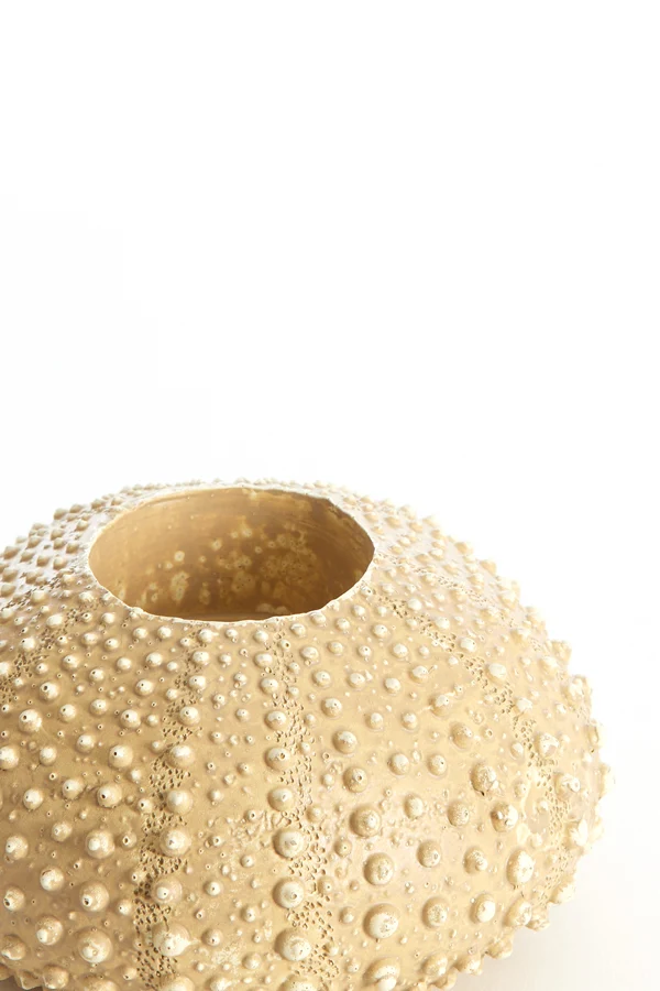 Tealight holder 12x7 cm SEA URCHIN sand