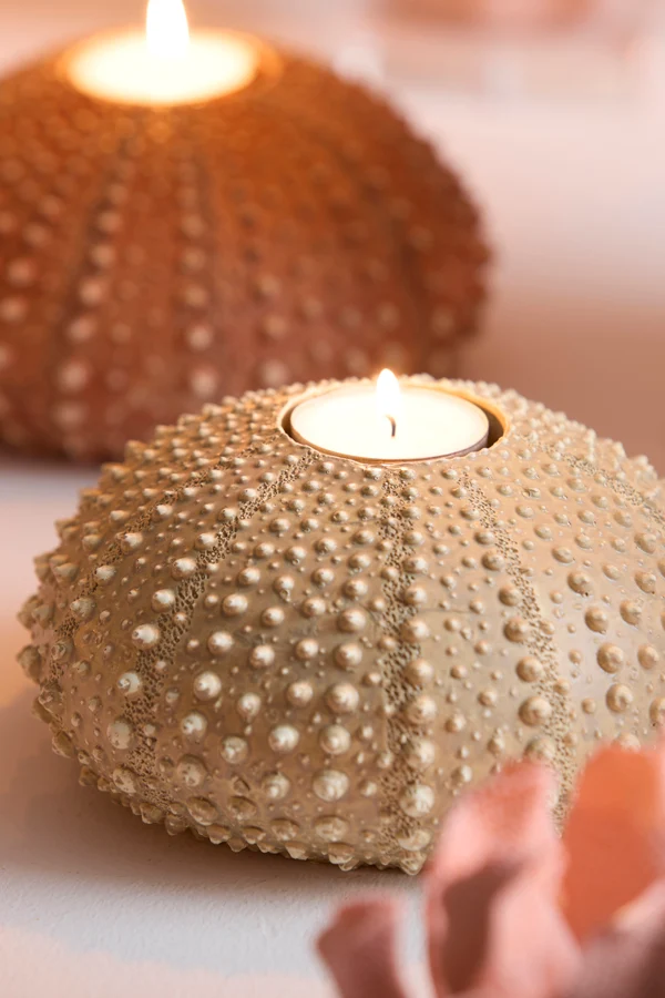 Tealight holder 12x7 cm SEA URCHIN sand