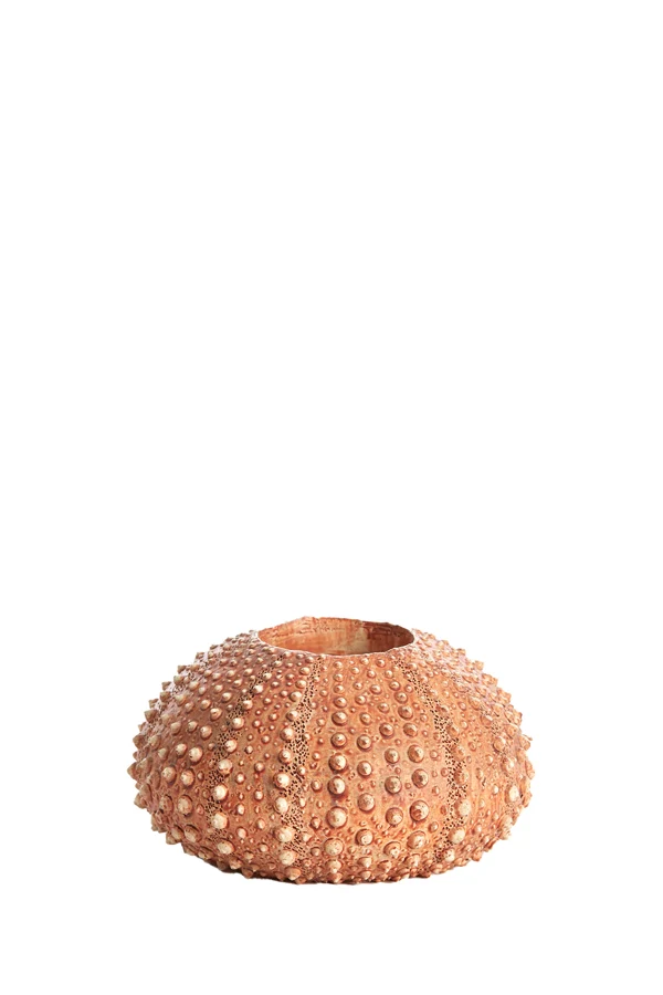 Tealight holder 12x7 cm SEA URCHIN red