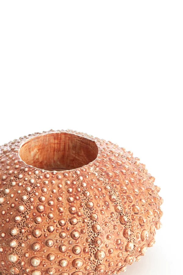 Tealight holder 12x7 cm SEA URCHIN red