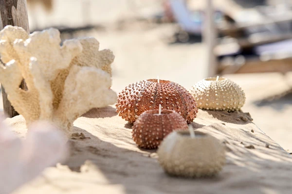 Tealight holder 12x7 cm SEA URCHIN red