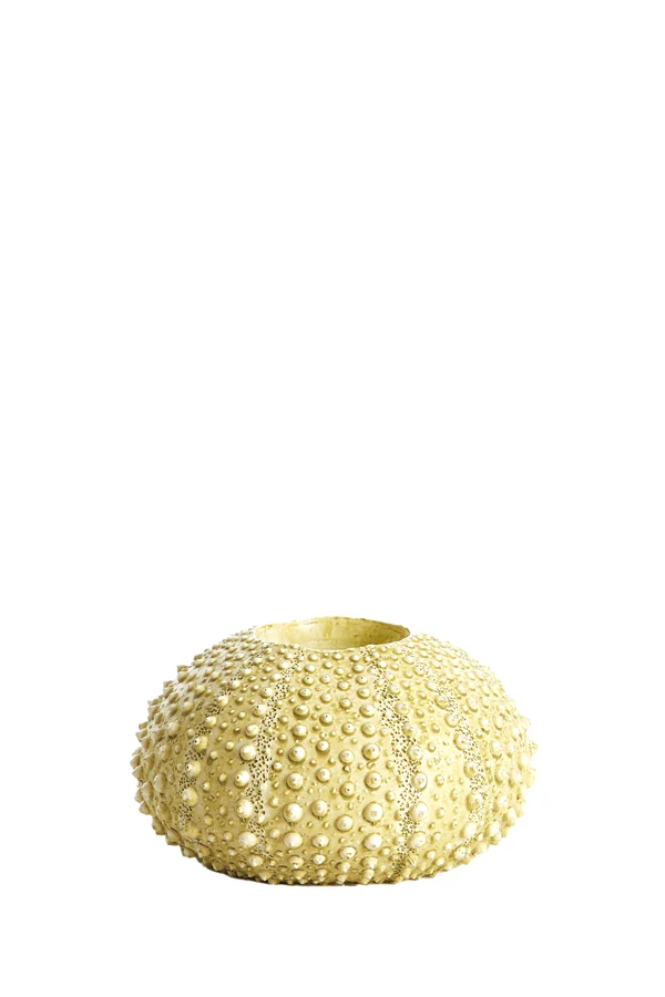 Tealight holder 12x7 cm SEA URCHIN green