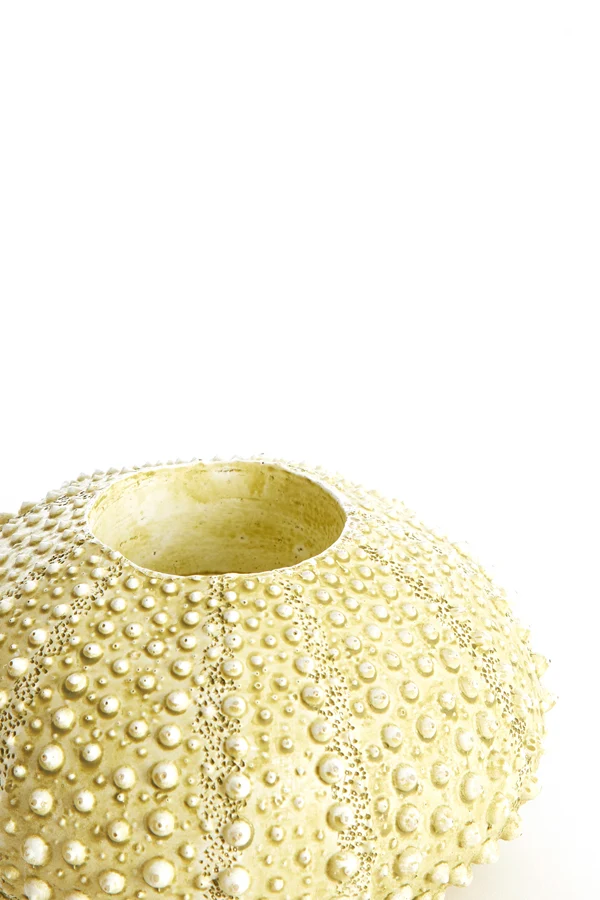 Tealight holder 12x7 cm SEA URCHIN green