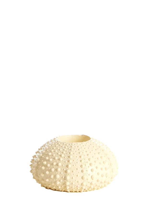 Tealight holder 12x7 cm SEA URCHIN cream