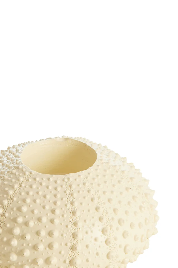Tealight holder 12x7 cm SEA URCHIN cream