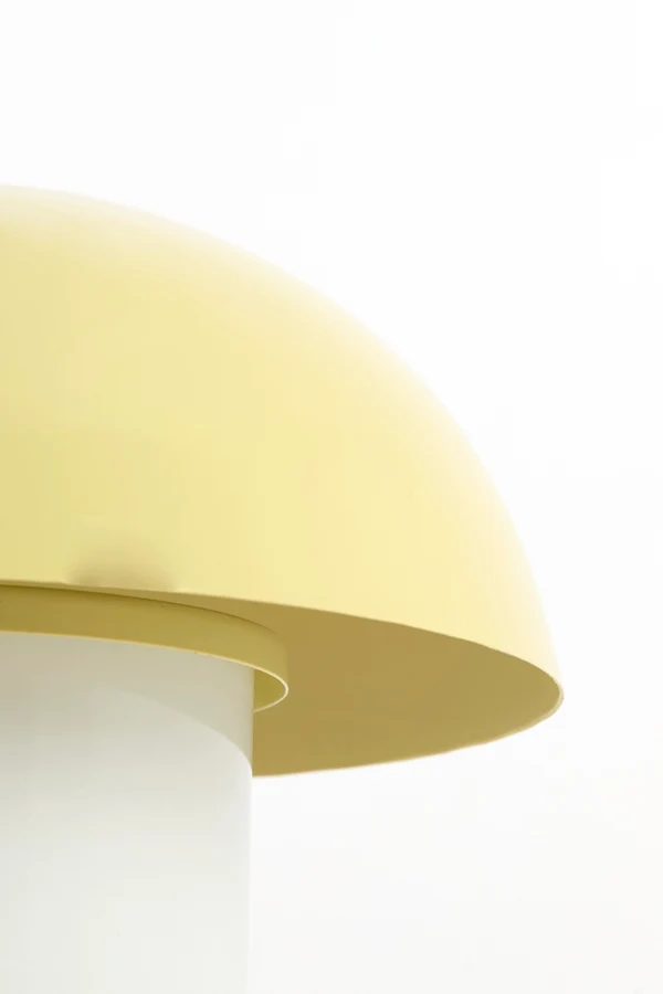 Table lamp 30x25 cm ANIVA shiny light green