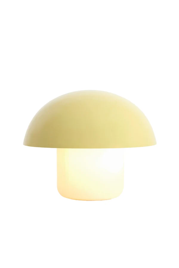 Table lamp 30x25 cm ANIVA shiny light green