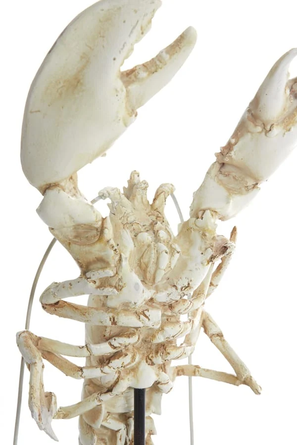 Ornament on base 25x14x56,5 cm LOBSTER off white