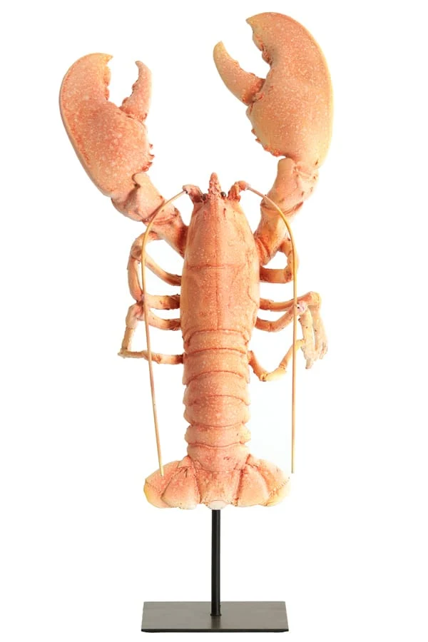 Ornament on base 25x14x56,5 cm LOBSTER light coral