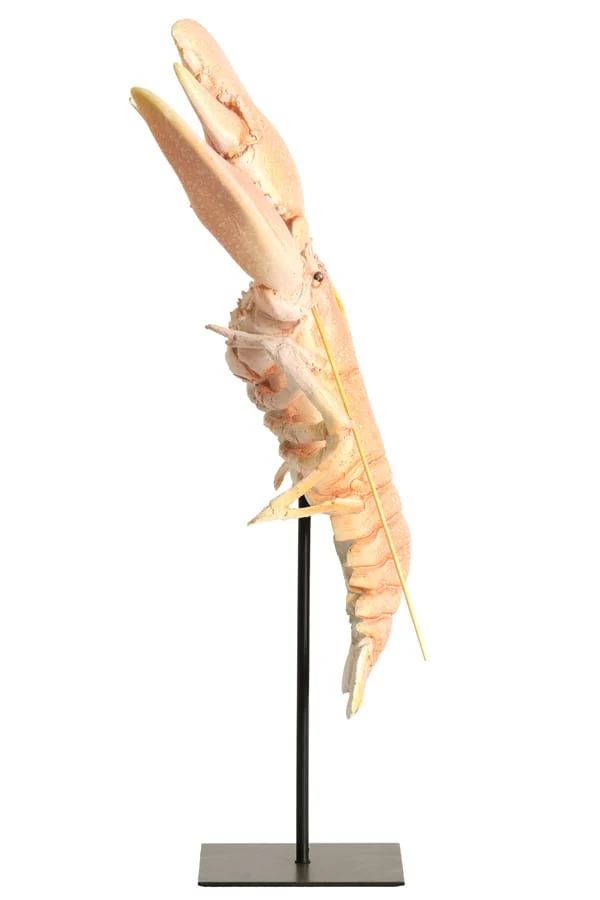 Ornament on base 25x14x56,5 cm LOBSTER light coral