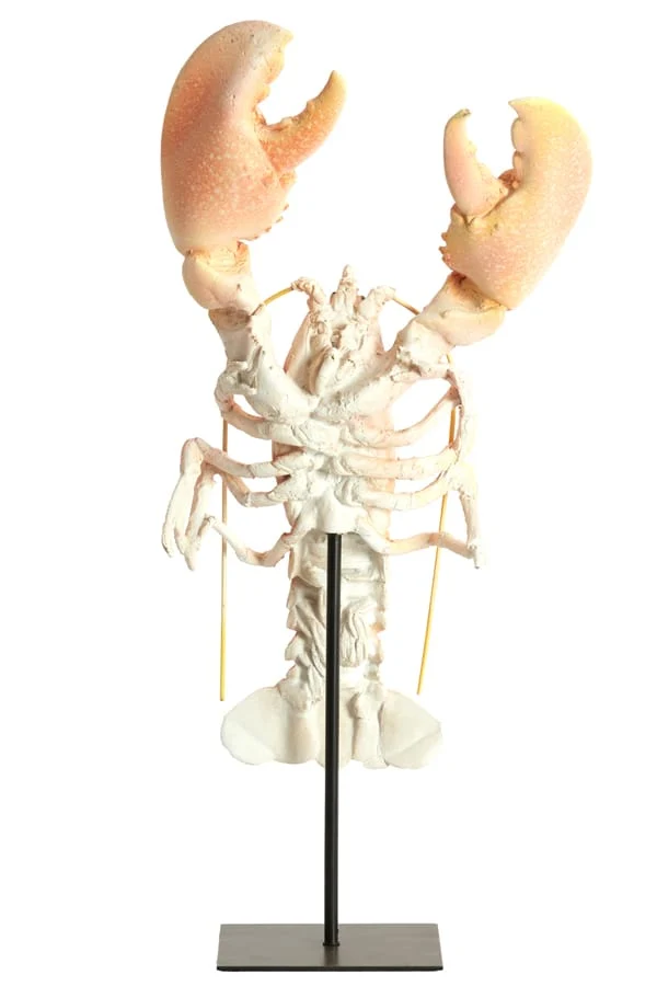 Ornament on base 25x14x56,5 cm LOBSTER light coral